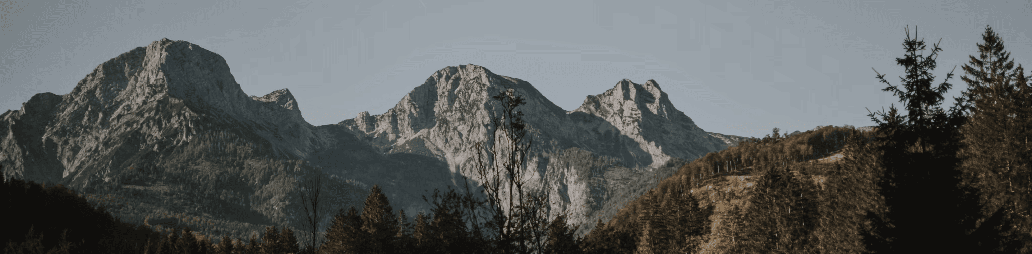 Wellness & Soul Retreats