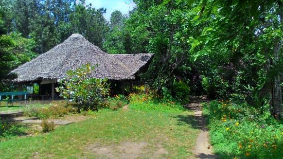 Pranic Wilderness Retreat